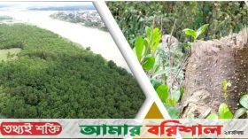 পটুয়াখালীতে সংরক্ষণের অভাবে ধ্বংস ঝুঁকিতে লোহালিয়া পাড়ের বনভূমি