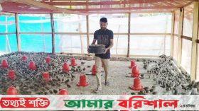 পটুয়াখালীতে কোয়েল পাখি পালনে সফল নাহিদ