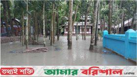 বাউফলের তেঁতুলিয়া নদীর তীরবর্তী এলাকা প্লাবিত
