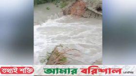 বরগুনায় ১২ কিলোমিটার বাঁধ বিধ্বস্ত