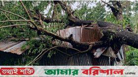 মির্জাগঞ্জের ঘূর্ণিঝড়ে ১০টি শিক্ষা প্রতিষ্ঠান ক্ষতিগ্রস্ত