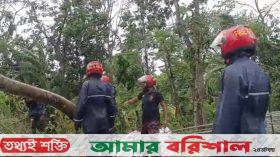 ঘূর্ণিঝড় রেমালের তাণ্ডব: ৫ দিন ধরে বিদ্যুৎহীন পাথরঘাটা