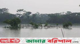 ঝালকাঠিতে ঘূর্ণিঝড় রিমালের তাণ্ডবে শতকোটি টাকার ক্ষতি