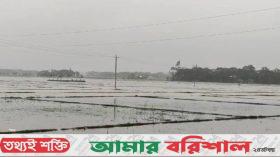 ঘূর্ণিঝড় রিমাল: কলাপাড়ায় ভেসে গেছে সাড়ে ৫ হাজার ঘের-পুকুরের মাছ