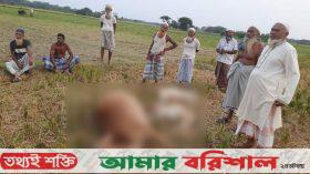 কলাপাড়ায় বজ্রপাতে ৩ গরুর মৃত্যু