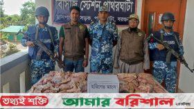 বরগুনায় ২৮০ কেজি হাঙর ও ৬০ কেজি হরিণের মাংস উদ্ধার