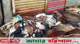 বরিশালে ছাগলের চামড়ায় অনীহা ব্যবসায়ীদের
