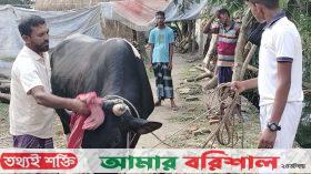 কালো মানিকের দাম হেঁকেছেন ১০ লাখ টাকা