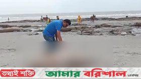 কুয়াকাটা সৈকতে ভেসে এলো মৃত ডলফিন