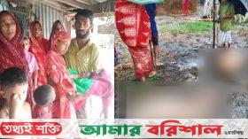 পটুয়াখালীতে বজ্রপাতে ২ গবাদিপশুর মৃত্যু, আহত শিশু