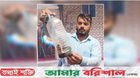 কুয়াকাটার সৈকতে দেখা মিলছে ইয়েলো-বেলিড সি স্নেকের