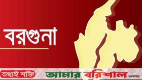 তালতলীতে ব্যাটারিচালিত অটোরিকশাচাপায় ব্যবসায়ী নিহত