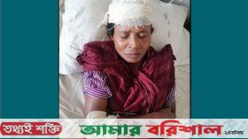 ঝালকাঠিতে শত্রুতার জেরে বৃদ্ধা নারীকে কুপিয়ে জখম