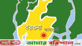 আমতলীতে বাস চাপায় মাছ ব্যবসায়ী নিহত