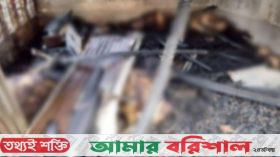 ঝালকাঠিতে মধ্যরাতে খামারে আগুনে পুড়ে ৮ গরু ও ১০ ছাগলের মৃত্যু