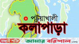 কলাপাড়ায় মৃত সন্তান প্রসবের পর প্রসূতির মৃত্যু, চিকিৎসায় ঘাটতির অভিযোগ