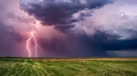 পটুয়াখালীতে বজ্রপাতে ২টি গবাদিপশুর মৃত্যু, বজ্রাহত শিশু