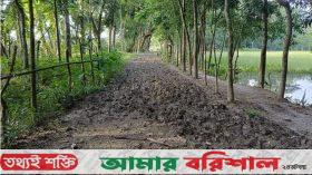 বরিশালে সড়কের অভাবে আধুনিক যোগাযোগব্যবস্থা বঞ্চিত ২ গ্রাম