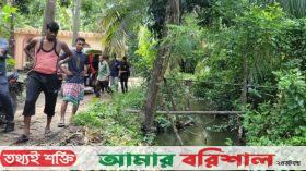 ঝালকাঠিতে সাঁকো থেকে পড়ে যাওয়া ভাইকে উদ্ধার করতে গিয়ে বোনের মৃত্যু