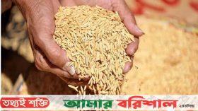 বরগুনায় সংকট দেখিয়ে ৫৫০ টাকার ধানবীজের দাম নেওয়া হচ্ছে ৮০০