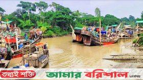 সাগরে মিলছে না কাঙ্ক্ষিত ইলিশ