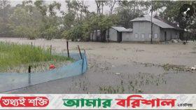 পটুয়াখালীতে টানা ৭ দিনের বৃষ্টিতে স্থবির জন জীবন