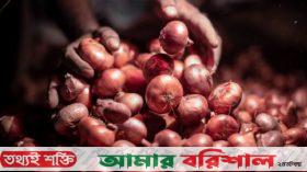 ভারতের বিকল্প হিসেবে ৪ দেশ থেকে বেড়েছে পেঁয়াজের আমদানি