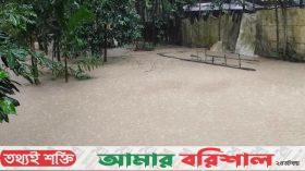 দুমকিতে টানা বর্ষণে বিস্তীর্ণ এলাকা প্লাবিত