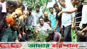 ঝালকাঠিতে বিএনপির উদ্যোগে তালের বীজ ও খেজুর চারা রোপণ