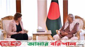 প্রতিটি প্রতিষ্ঠান ধ্বংস করে গেছেন শেখ হাসিনা: ড. ইউনূস