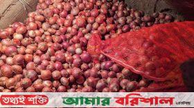 কেজিতে পেঁয়াজের দাম কমল ১৫ টাকা