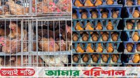 ডিম ও মুরগির নতুন দাম নির্ধারণ
