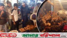 সরকার নির্ধারিত দামে মিলছে না ডিম-মুরগি