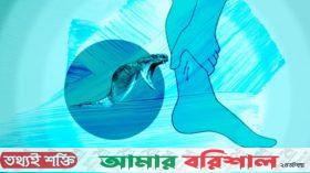 পটুয়াখালীতে সাপের ছোবলে নারীর মৃত্যু