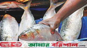হাত বদলালেই দাম বাড়ে ইলিশের