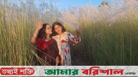 অগণিত কাশফুলে শরতের শুভ্রতা ছড়াচ্ছে বরগুনার বিসিক শিল্পনগরী