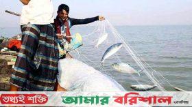মা ইলিশ রক্ষায় নদীতে ২২ দিন জাল ফেলা নিষিদ্ধ
