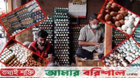 দাম বেঁধেও আটকানো যাচ্ছে না ডিমের বাজার!