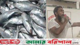 পটুয়াখালীতে মাইকিং করে ইলিশ বিক্রি