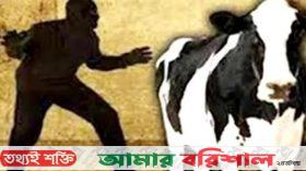 মির্জাগঞ্জে এক কৃষকের ৫ গরু চুরি