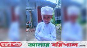 কলাপাড়ায় অটোরিকশা থেকে ছিটকে পড়ে শিশুর মৃত্যু