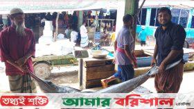 কুয়াকাটায় জেলের জালে ধরা পড়েছে ৬৪ কেজি পাখি মাছ