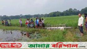 মির্জাগঞ্জে ঘাস কাটতে বেরিয়ে নিখোঁজ কৃষক, ধানখেতে মিলল লাশ