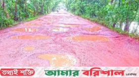 বরগুনায় নির্মাণের ১০ মাসেই সাড়ে ৮ কোটি টাকার সড়কের নাজেহাল