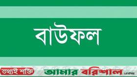 বাউফলে জমা-জমি সংক্রান্ত বিরোধে বাবা ও দুই ছেলেকে কুপিয়ে জখম