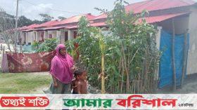 ঝালকাঠিতে স্কুলের অভাবে শিক্ষা বঞ্চিত পাঁচ শতাধিক শিশু