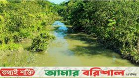 খরস্রোতা মুরাদিয়া নদী এখন মরা খাল!