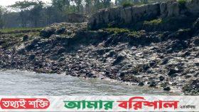 টেকসই বেড়িবাঁধের অভাবে দুর্যোগ ঝুঁকিতে বরগুনাবাসী