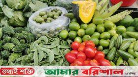 সবজিতেও নেই স্বস্তি, মুরগি আগের দামেই