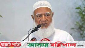 আ.লীগ নিজেরাই নিজেদের পতন ডেকে এনেছে : জামায়াত আমির